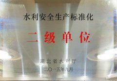 水利安全生產標準化 二級單位
